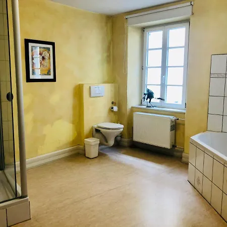 Altstadtmeise Meisenheim