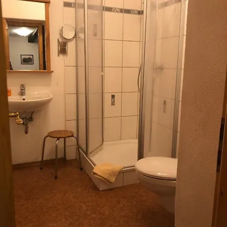 Altstadtmeise
